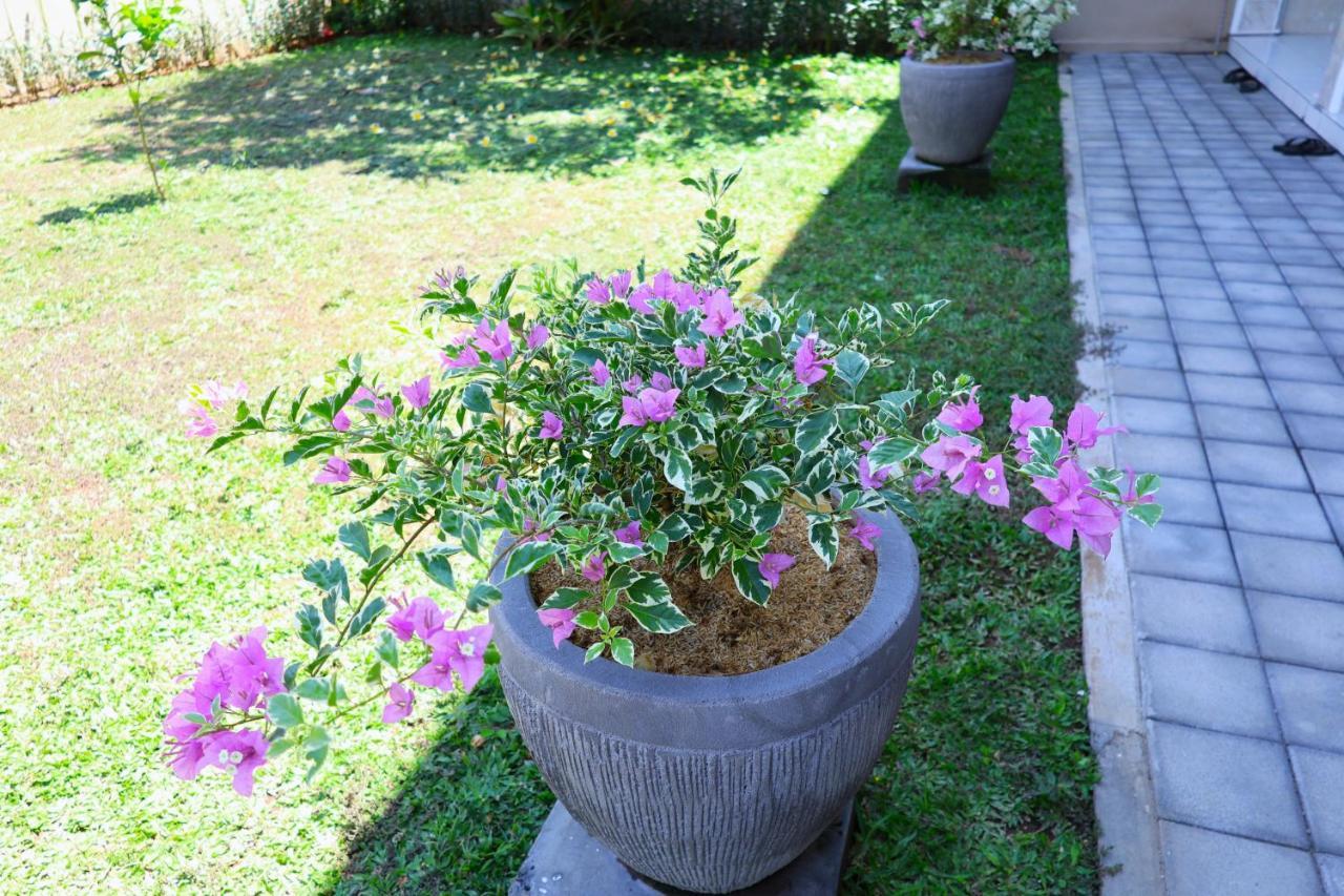 Pondok Dete Guesthouse サヌール 外观 照片
